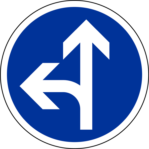 Obligation aller tout droit ou gauche B21d2